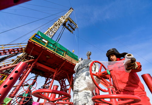 西北油田设备严冬防护 为石油装备“添衣加被”御严寒